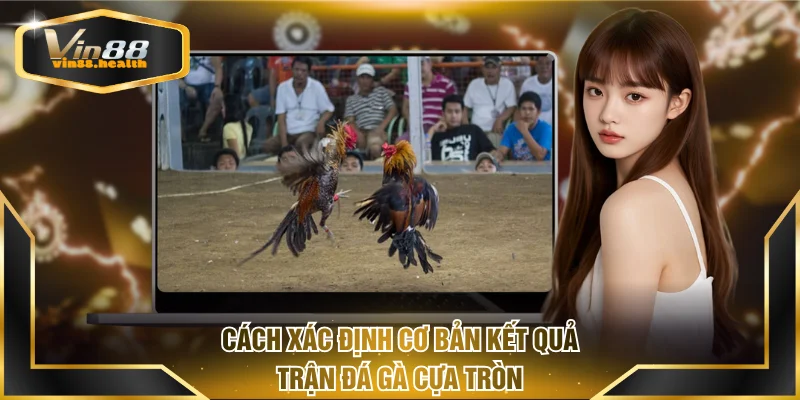 Cách xác định cơ bản kết quả trận đá gà cựa tròn